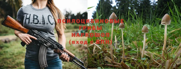 синтетический гашиш Алексеевка