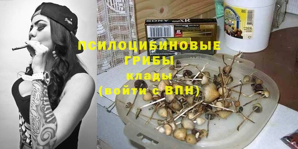 эйфоретик Абаза