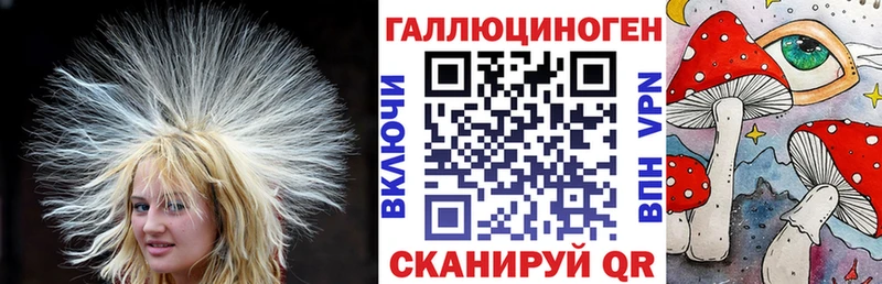 mega   Чита  Псилоцибиновые грибы прущие грибы 
