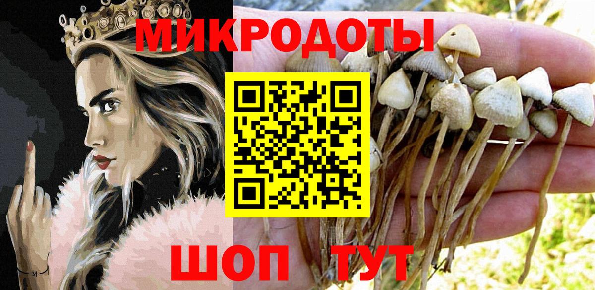 Псилоцибиновые грибы ЛСД Чита