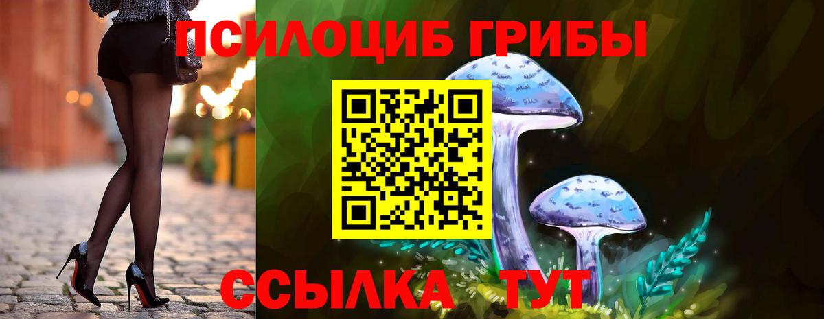 Галлюциногенные грибы мицелий  Галлюциногенные грибы мицелий  Вход с VPN  Чита 
